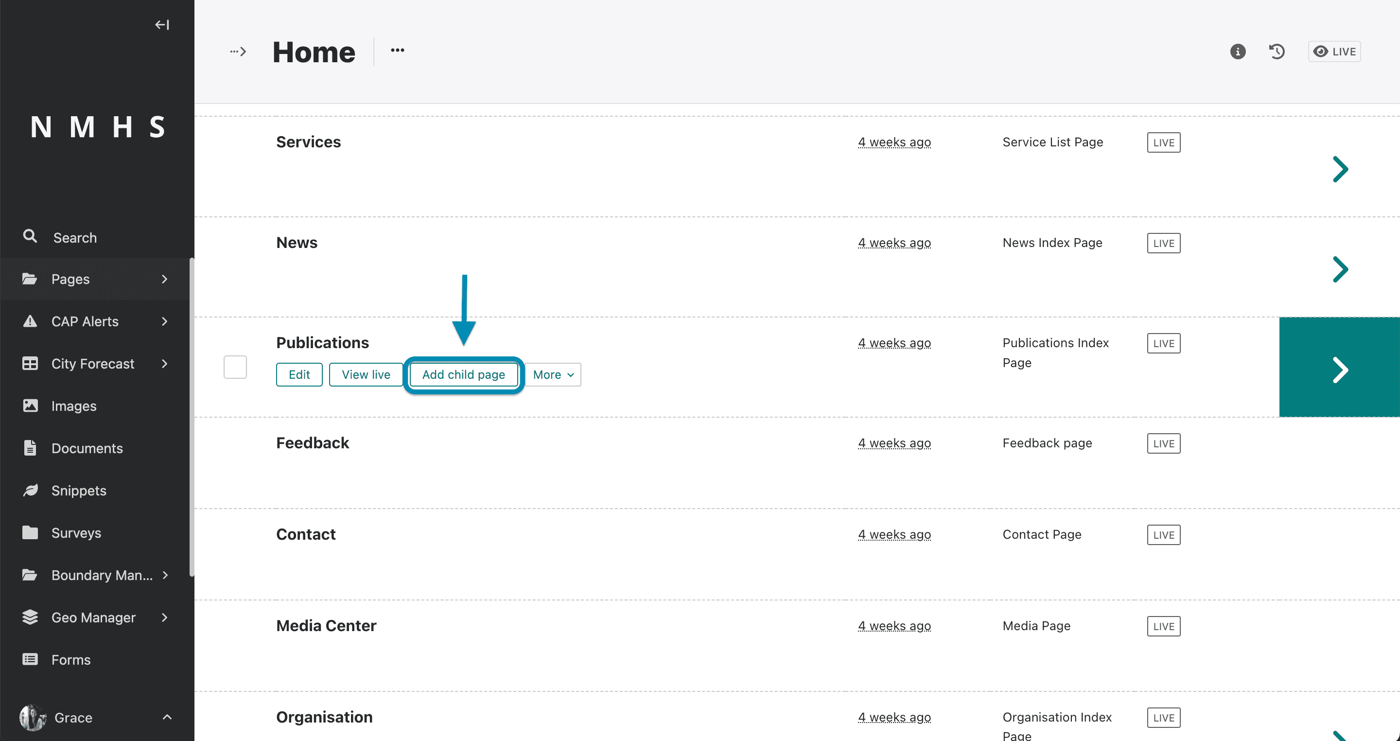 Add Publication Page