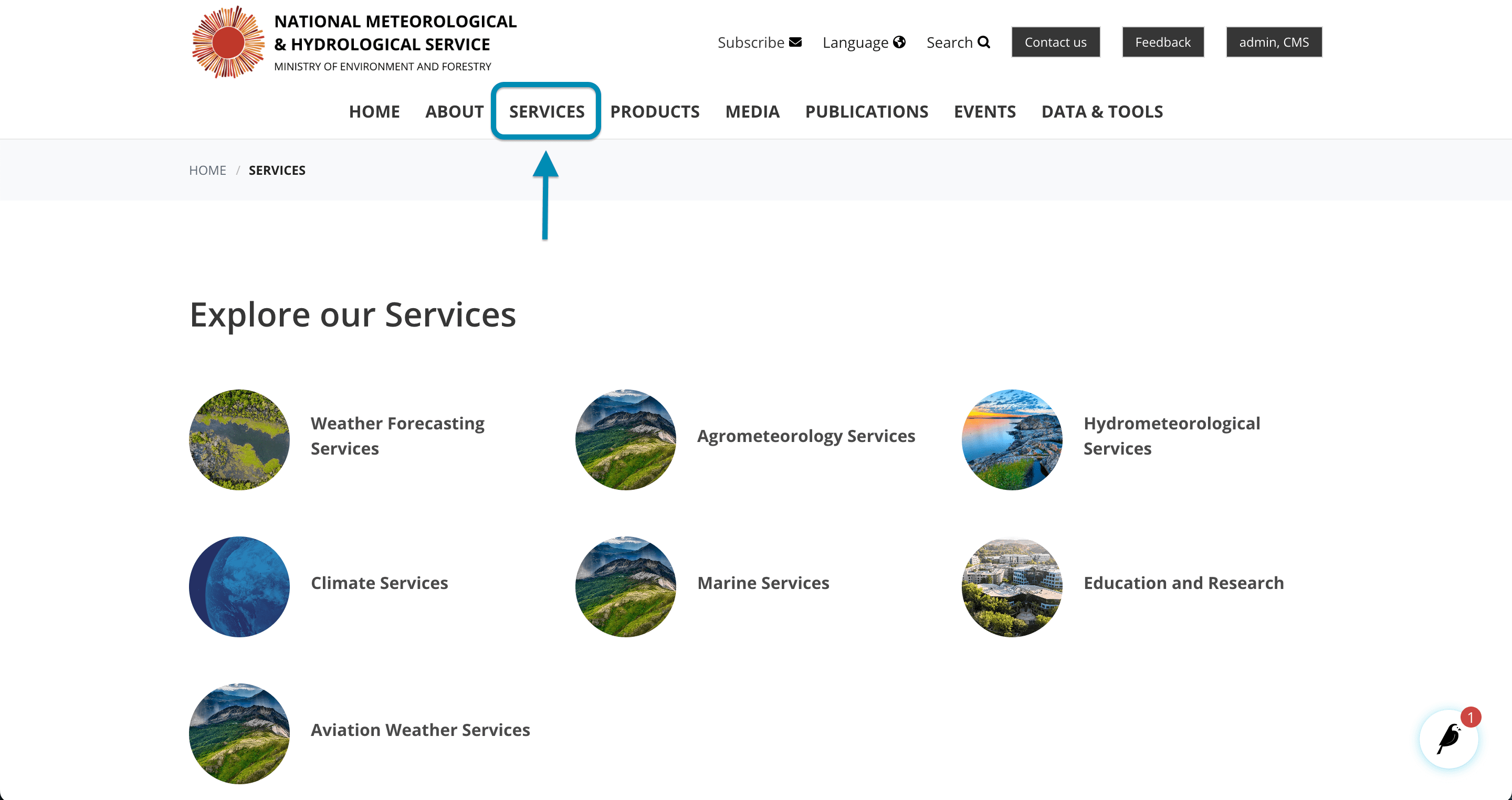 Vista previa de la lista de servicios